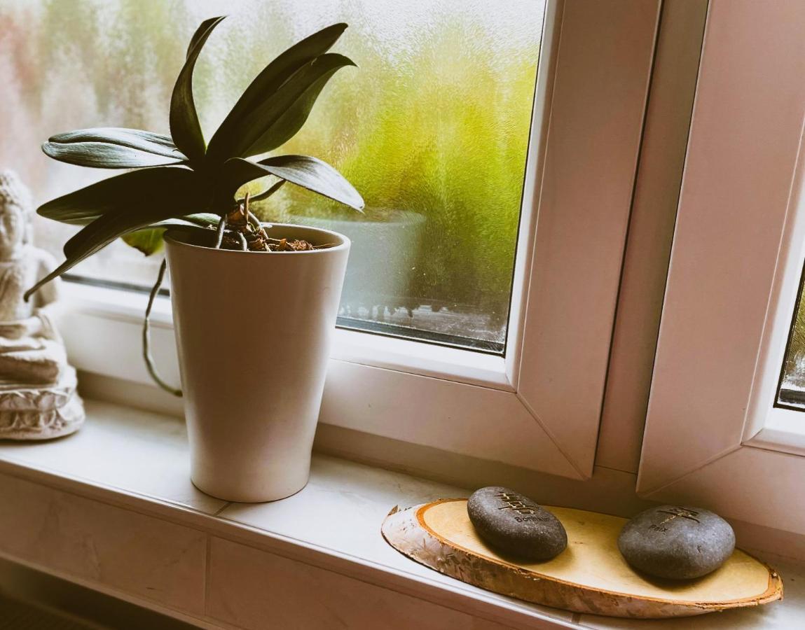 Modernes Appartement Im Gruenen - Stilvoll Und Komfortabel Кёльн Экстерьер фото